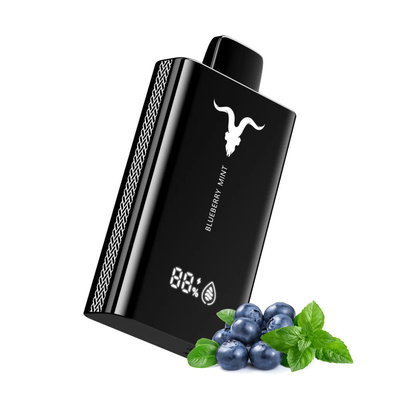 IGNITE V120 PRO BLACK • Blueberry Mint