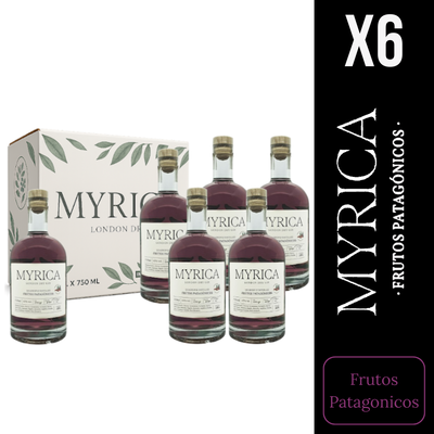 CAJA MYRICA GIN FRUTOS PATAGONICOS