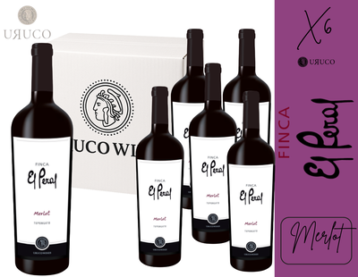 CAJA BODEGA EL PERAL - MERLOT