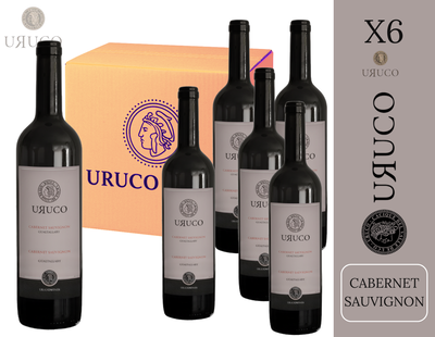 CAJA BODEGA URUCO - CABERNET SAUVIGNON