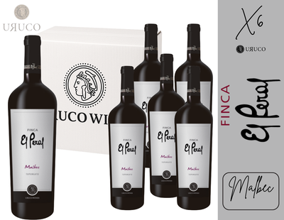 CAJA BODEGA EL PERAL - MALBEC