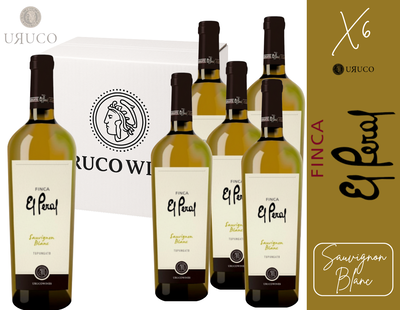 CAJA BODEGA EL PERAL - SAUVIGNON BLANC
