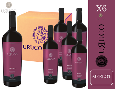 CAJA BODEGA URUCO - MERLOT