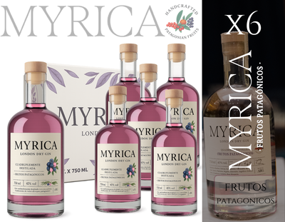 CAJA MYRICA GIN FRUTOS PATAGONICOS