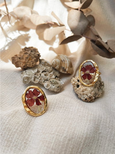 Anillo Gaia 
