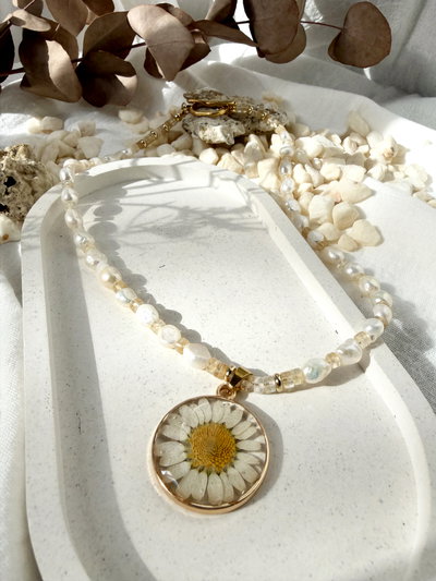 Collar Bellis