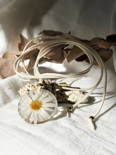 Collar Wild Daisy 