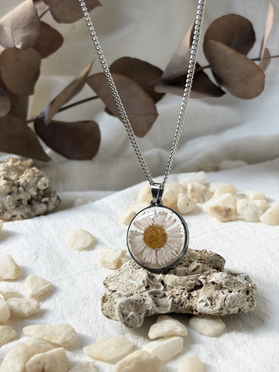 Collar Wildflower