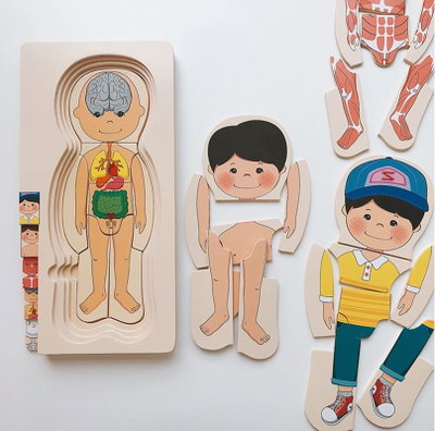 CUERPO HUMANO 5 NIVELES