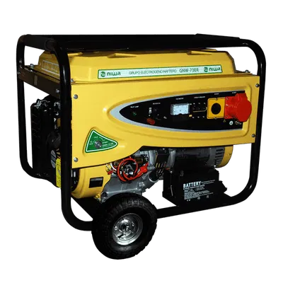 GRUPO ELECTROGENO NAFTERO GNW 73ER - NIWA