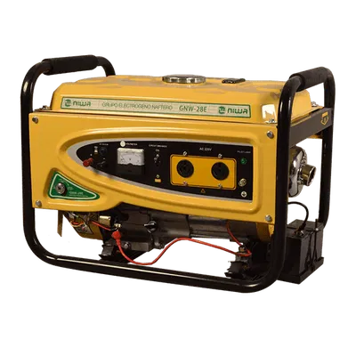 GRUPO ELECTROGENO NAFTERO GNW 28E - NIWA