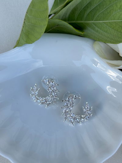 Aros Espigas plateados