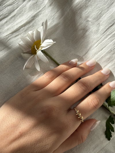 Anillo Vueltas resorte