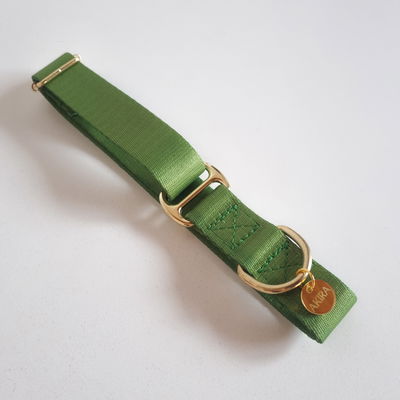 'VERDE FOREST' - Collar Regulable