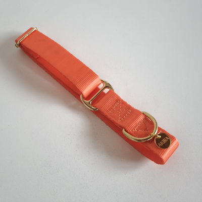 'TERRACOTA' - Collar Regulable