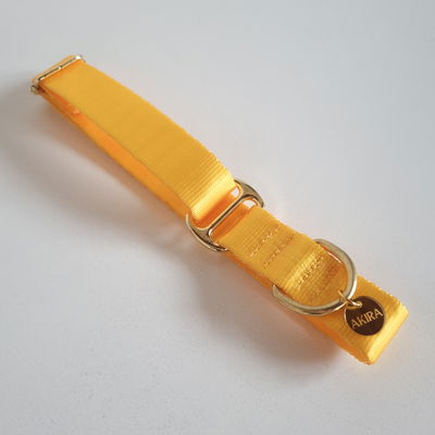 'AMARILLO' - Collar Regulable