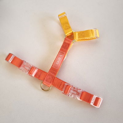 'SUNSHINE' - Pretal H