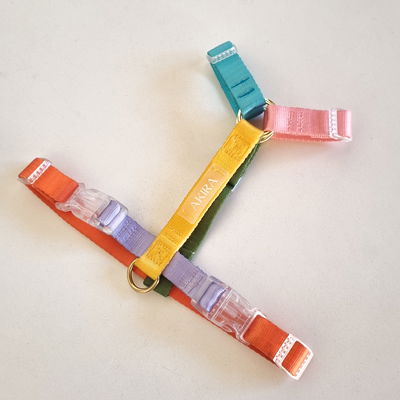 'RAINBOW' - Pretal H