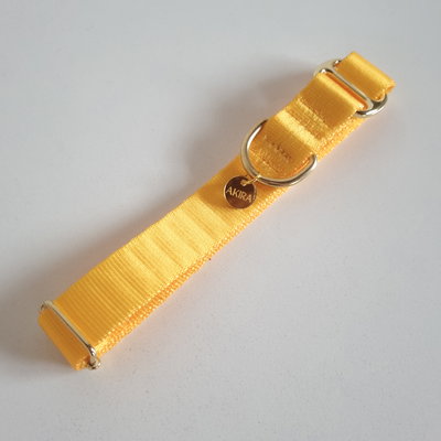 'AMARILLO' - Collar Regulable