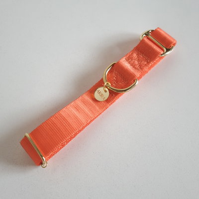 'TERRACOTA' - Collar Regulable