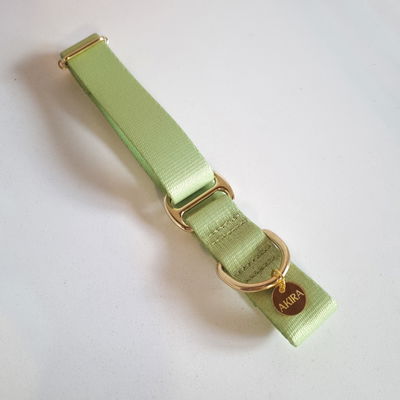 'LIMA' - Collar Regulable