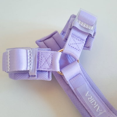 'LILA' - ARNES COMFORT