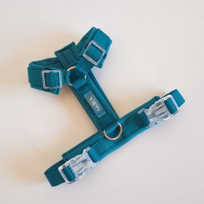 'TURQUESA' - ARNES COMFORT