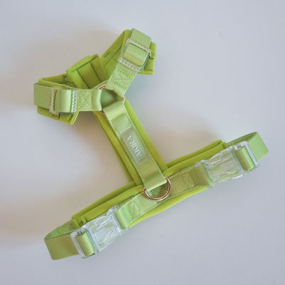 'LIMA' - ARNES COMFORT