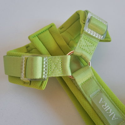 'LIMA' - ARNES COMFORT