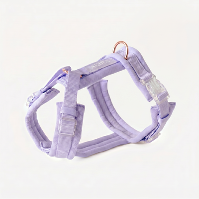 'LILA' - ARNES COMFORT