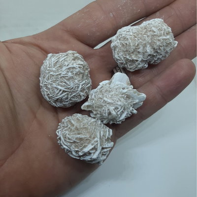 ROSA DEL DESIERTO - En bruto