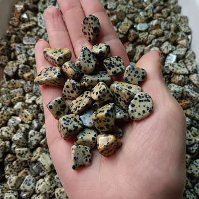 JASPE DÁLMATA - Rolado