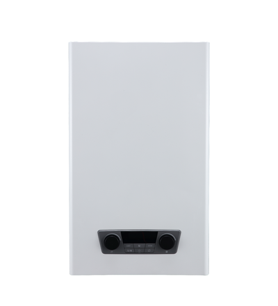 Caldera Mural A Gas Bgh Vesta 24 24.000 Dual Tiro Forzado