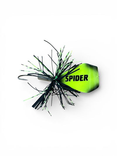 Rana tai frog Spider