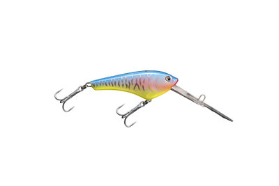 Mojarra 120 Pala Larga P/L  NG Artificiales