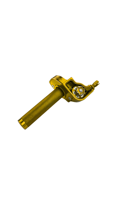 ACELERADOR RAPIDO DORADO