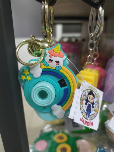 Llaveros cámaras