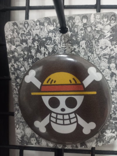 Pin One Pice