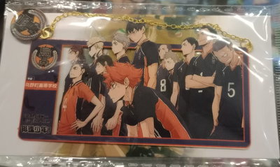 Marcapáginas Metalizado HAIKYUU Equipo Karasuno