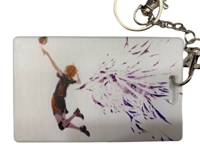 Porta Sube HAIKYUU Hinata