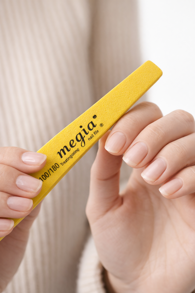 (PACK X10) LIMAS SPONGE 100/180