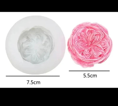 Rosa 3D
