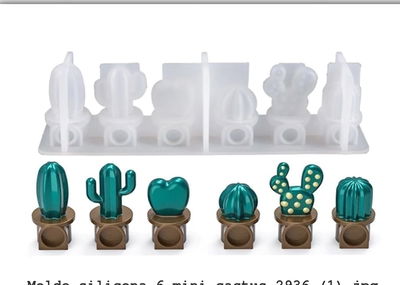 mini cactus  x 6 