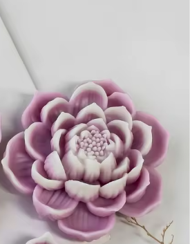 flor de loto abierta 