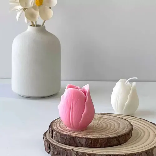Pimpollo tulipán chico
