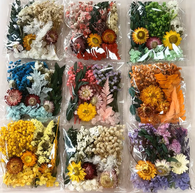 Flores Secas