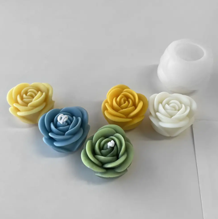 Rosa rosa grande