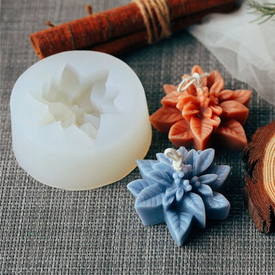 Flor Navidad