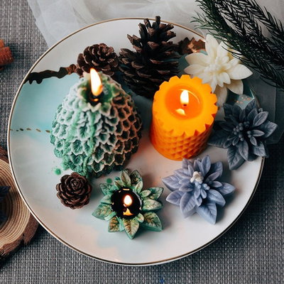Flor Navidad