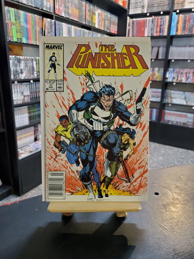 The punisher 17